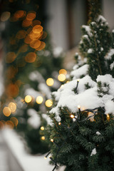 Stylish christmas trees with gold festive lights, covered with snow, at holiday market in city street. Space for text. Fir branches with illumination. Christmas street decor.