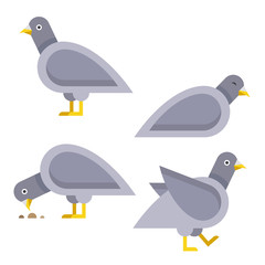 Cartoon set of pigeons. Vector illustration.