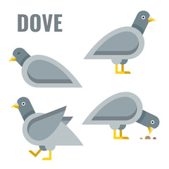 Cartoon set of pigeons. Vector illustration.