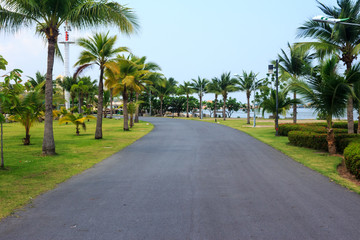 Plakat Road in the park