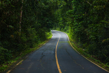 View of road in the forest, Thailand
