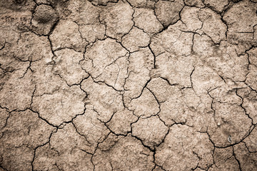 Cracked ground