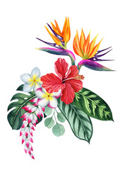 Watercolor painted strelitzia flower. Can be used as print, postcard, invitation, greeting card, packaging design, element design and so on.