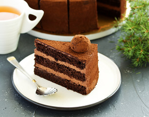 Chocolate cake. A slice of chocolate cake. Selective focus