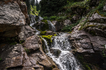 Obraz premium A fast mountain river flows through wet stones in the mountains