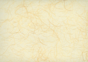 和紙・バックグラウンド