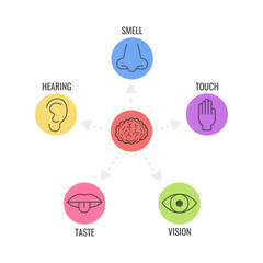 Icon set of five human senses. Simple line icons. Vector illustration. - obrazy, fototapety, plakaty