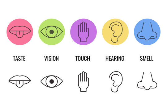 Icon set of five human senses. Simple line icons. Vector illustration.