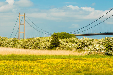 bridge over river