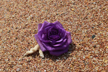 Beautiful hand made rose flower on sand. Vintage retro style decoration. Fashionable female corsage...