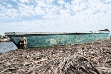 Barca vieja atrapada por algas secas 
