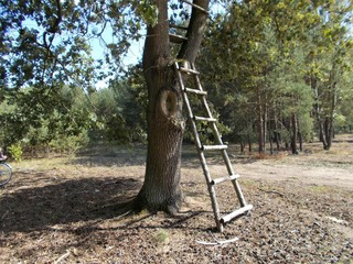 Po szczeblach w górę, Polska © Jola i Darek 