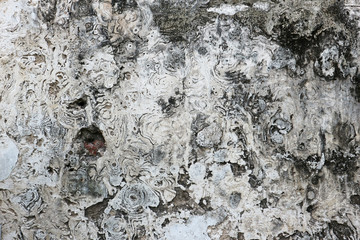 Dirty Old Concrete Wall for Background, Texture and Wallpaper
