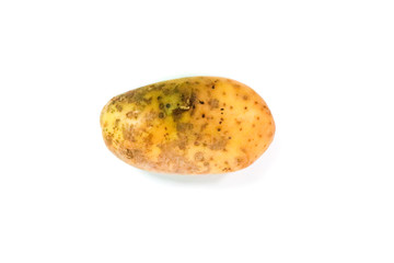 Potato Close up for isolated