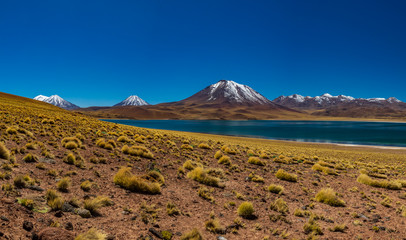 Amazing Lake Miscanti and mountains gigapan in the highlands of Chile