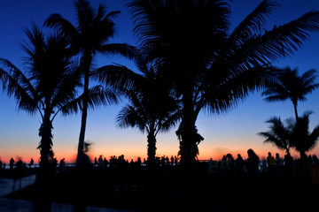 Silhouette of palm trees and people on Cable beach Broome Kimberley Western Australia