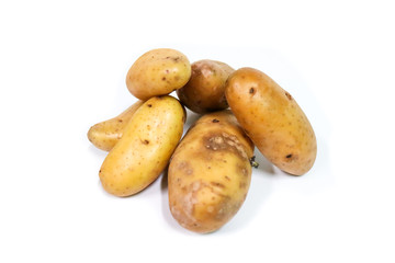 Potato Close up for isolated