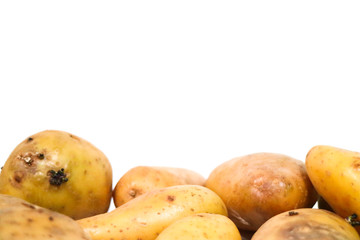 Potato Close up for isolated