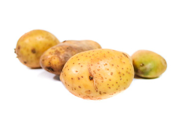 Potato Close up for isolated