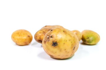 Potato Close up for isolated