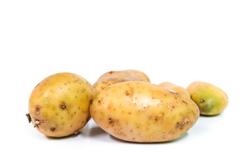 Potato Close up for isolated