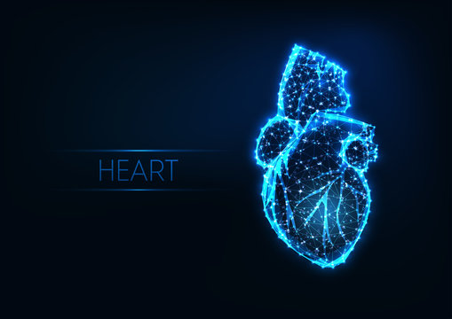 Futuristic glowing low polygonal human heart isolated on dark blue background.