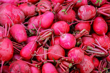 bunches of fresh radishes