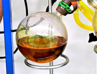 cannabinoid marijuana cannabis oil extraction in lab