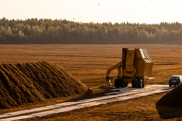 Turf extraction field with excavator tractor in sunset time, peat field