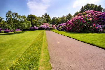 path in garden