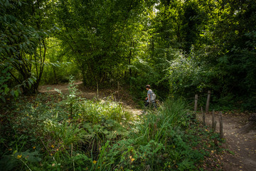 Colle Val d'Elsa, Elsa River park, Tuscany