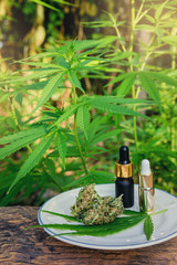 Medical cannabis (Marijuana) on wood table with an essential oil extract, flower buds and leafs.