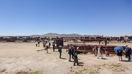Plateau Altiplano with very untypical nature in Bolivia