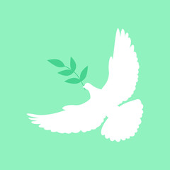 Peace dove with green branch. Vector illustration.