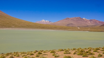 Plateau Altiplano with very untypical nature in Bolivia