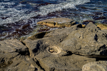 Берег Каспия