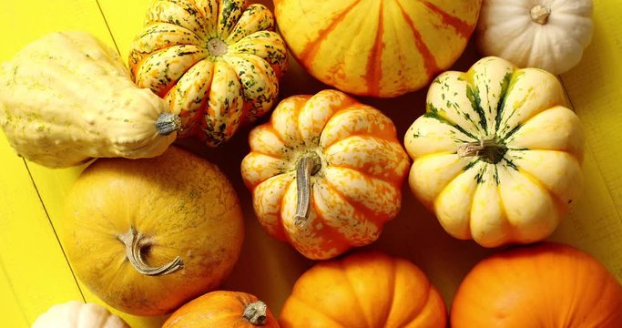 Pile of ripe pumpkins on yellow