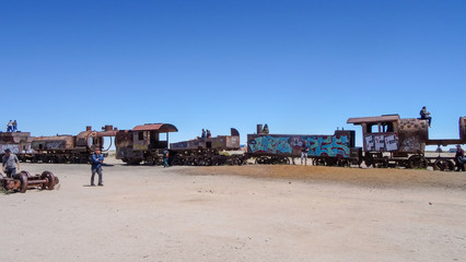 Plateau Altiplano with very untypical nature in Bolivia