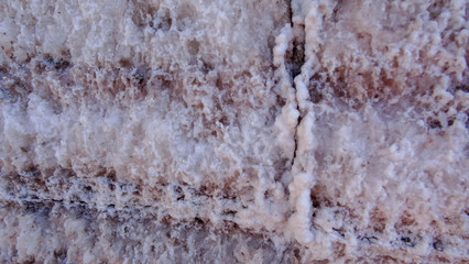 Obraz premium Plateau Altiplano with very untypical nature in Bolivia