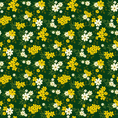 Fashionable pattern in small flowers. Floral seamless background for textiles, fabrics, covers, wallpapers, print, gift wrapping and scrapbooking. Raster copy.