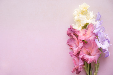 Colorful gladioli on a pink background. Flowers on a blank surface, top view. Greeting card. Happy teacher`s day. Back to school 