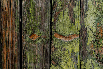 Gray boards with peeling green paint texture. Vertical boards with different lines, scuffs. Cracks...