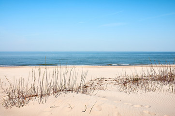 Photo of a sea coast sand dune on a sunny day