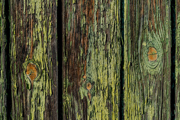 Gray boards with peeling green paint texture. Vertical boards with different lines, scuffs. Cracks...