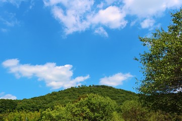 風景　秋　空　山　杤木　日本