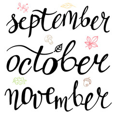 Autumn months: september, october, november. Vector illustration of handwritten lettering and colorful leaves. Fall season. Text with decorative elements isolated on white background.