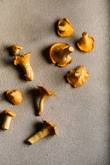 Chanterelles on a beige textured background. Copyspace. Autumn mood.