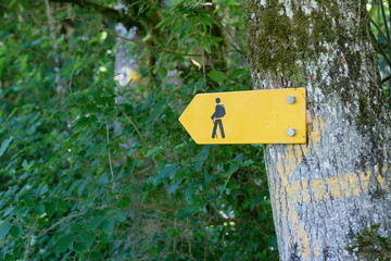 Yellow sign for swiss hiking trails on a tree points to the  left