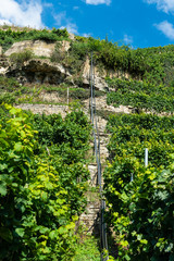 Steillagenweinbau bei Lauffen am , Treppe aus Sandsteineckar