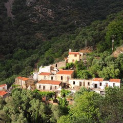 Fototapeta na wymiar Crete, Greece - rural landscape